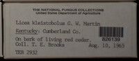 Image Associated With the Occurence